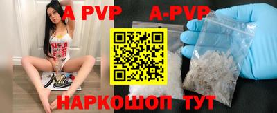 ешки Кингисепп